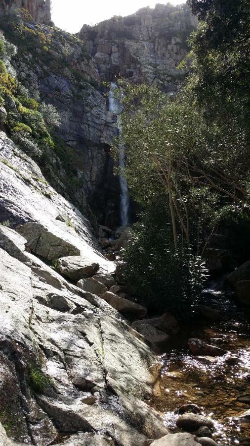 Il Giardino All'Angolo Villacidro Dış mekan fotoğraf
