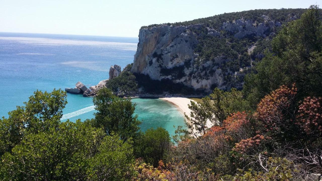 Il Giardino All'Angolo Villacidro Dış mekan fotoğraf