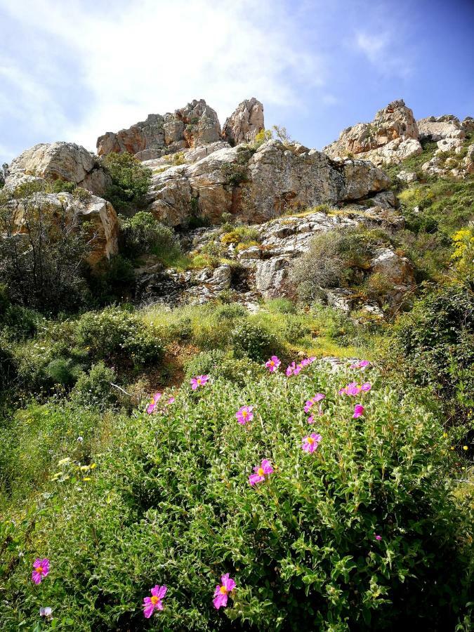 Il Giardino All'Angolo Villacidro Dış mekan fotoğraf
